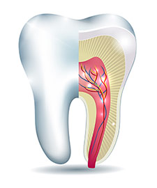 Endodontics