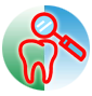 Dental X-Ray